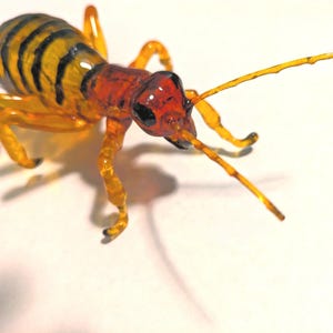 以下が含まれることがあります： 詳細な透明ガラスの昆虫彫刻。昆虫は、黒い縞模様の黄色い体、赤い頭、繊細なオレンジイエローの脚と触角が特徴です。彫刻は白い表面にあります。