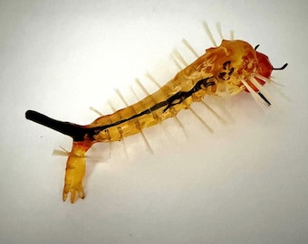 Culex Mosquito “Wiggler” Larvae Enlarged 3D realistic replica-Translucent body with lifelike filament hairs-Made in USA