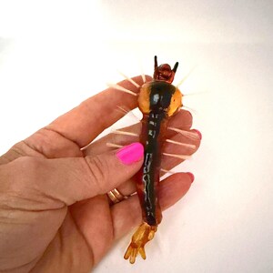 May include: A glass figurine shaped like a mosquito larva with a translucent amber body, a dark brown central stripe, and thin, light-colored glass protrusions extending from the sides. The head features two small, dark, pointed antennae.