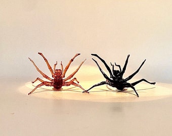 3D Printed Spider Replica: Aggressive Stance Display Model