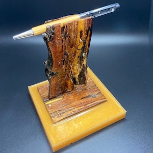 Hormigas bravas suspendidas en un bolígrafo superior transparente sobre un soporte de madera de termitas con bordes vivos de líquenes. Elección de color. ¡Paquete de regalo empresarial con opción de tarjeta!