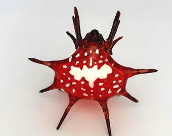 3D Orb Weaver Spider Replica, 3D Photogrammetry Insect Art Sculpture