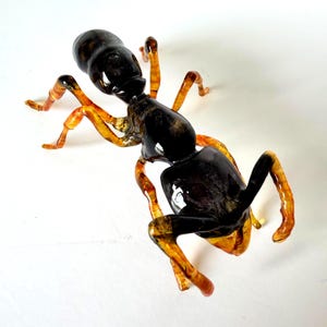 May include: A glass sculpture of an ant featuring a glossy black head and abdomen with a translucent amber-colored thorax and legs. The insect figure is crafted with smooth, reflective surfaces and articulated limbs, capturing the form of an ant.