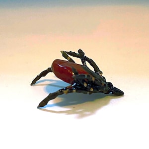 Puede incluir: Primer plano de una garrapata negra y roja, un tipo de insecto parásito, sobre un fondo blanco.