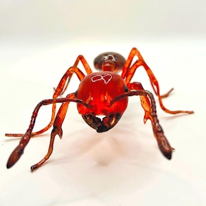 Fire Ant 3D model Oversized 5 inches-True to scale Realistic Photogrammerty Model of Photopolymer Resin. Cottage crafted in USA