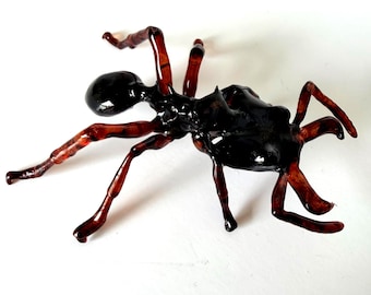 Trap Jaw Ant Enlarged 3D Entomology Model - Made In USA