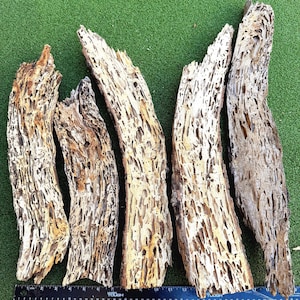 Set mit 5 rustikalen, von Termiten zerfressenen Hartholzplanken: Florida Craft Holzscheiben