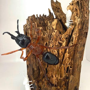 Puede incluir: Una escultura detallada de insectos sobre un trozo de madera. Una gran hormiga negra y marrón es el punto focal, con un abdomen negro brillante. También hay dos figuras de insectos blancos más pequeñas, junto con la madera texturizada.
