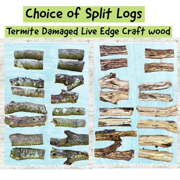 Raw Craft wood -Small Split Logs with Termite damage. Foraged with live edge, moss, lichen as found naturally. Your choice of length.