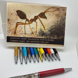 Fourmis de feu suspendues naturellement préservées dans un dessus transparent Stylo facile à visualiser, carte d'informations aquarelle sur les fourmis de feu incluse. Choix de la couleur du stylo.