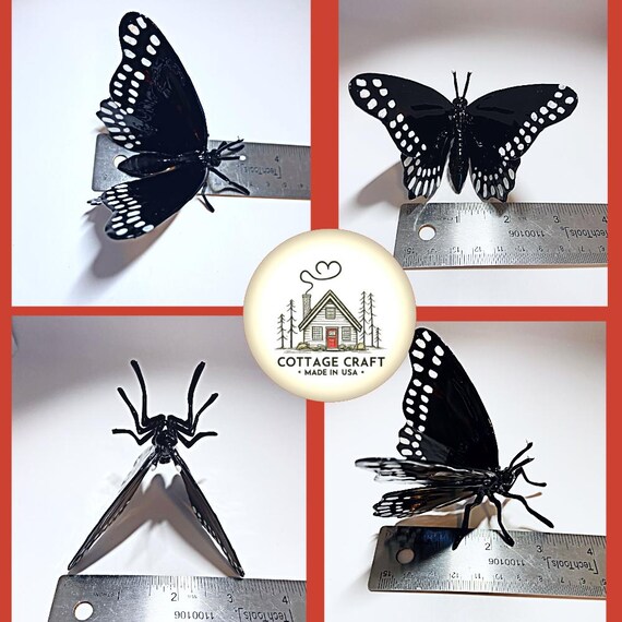 3Dブラックパナマ蝶レプリカ：希少昆虫学モデル、米国製 - Etsy 日本