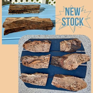 Mix of Six Termite Damaged Craft wood small slices. 4 sets of 6 assorted slices from 6-10” long. Various shapes, sizes & colors in each set.