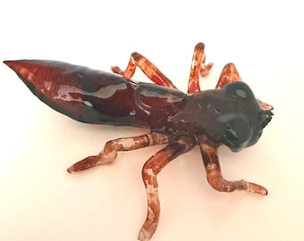 3D Dragonfly larvae naiads Replica: Realistic Resin Model, Entomology Educational tool.
