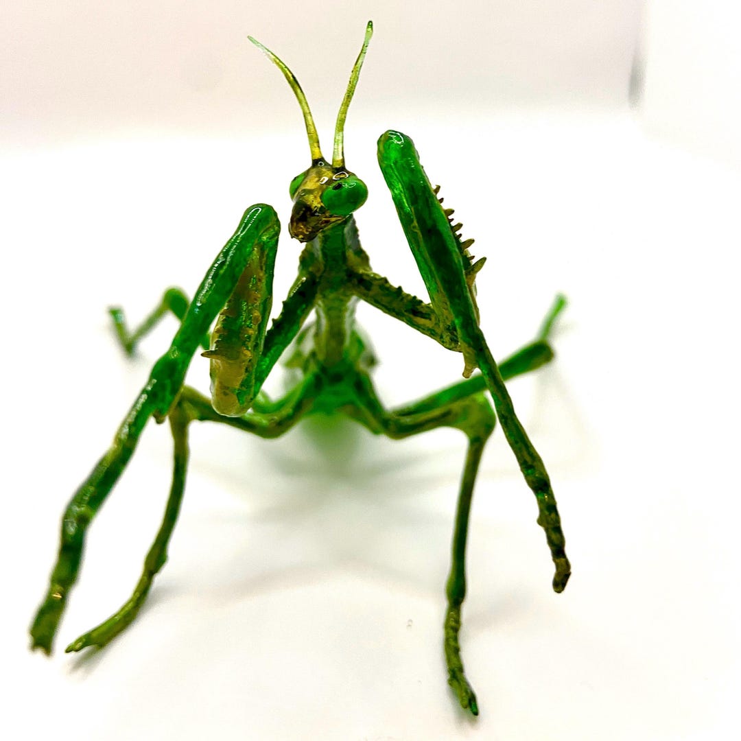 Praying Mantis 3D Replica: 6-inch Hand-painted Photopolymer Model