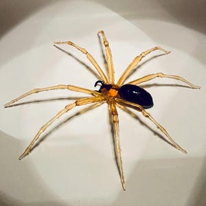 May include: A clear, amber-colored, glass spider with a black and orange abdomen. The spider has eight legs and is sitting on a white surface.