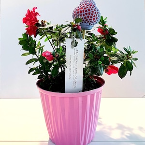 May include: A potted azalea plant with vibrant red flowers and green leaves. The pink pot has vertical ridges. A decorative, red and blue mushroom-shaped topper is in the plant. A tag reads "TAKEAPART ART - ORIGINAL" and "TAKEAPARTARTSTORE".