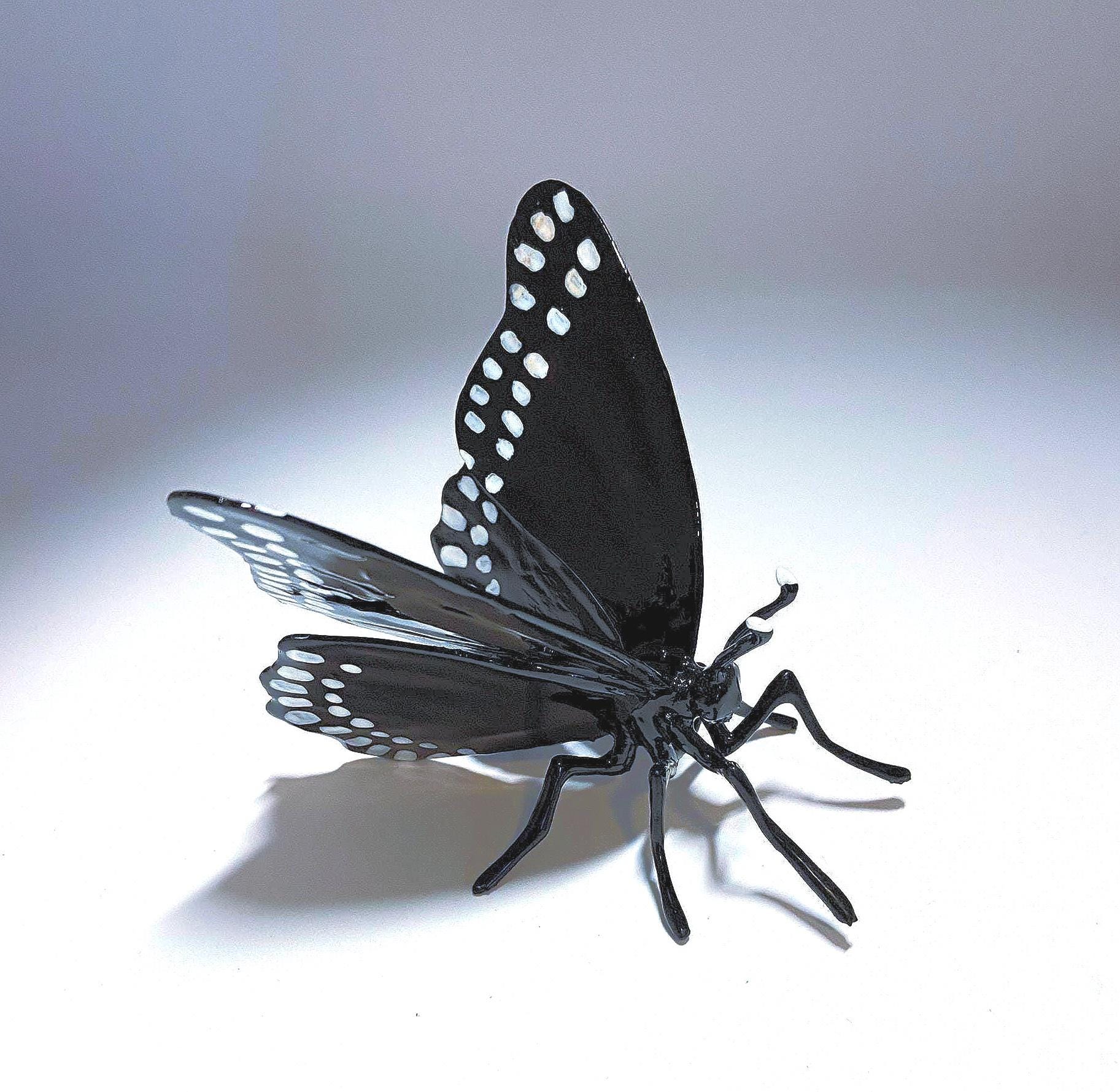 3Dブラックパナマ蝶レプリカ：希少昆虫学モデル、米国製 - Etsy 日本