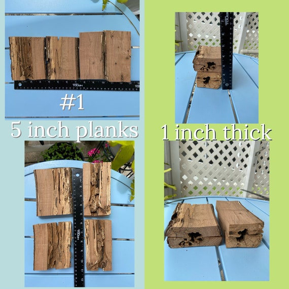 Rustic Termite-Ravaged Hardwood Planks: Florida Craft Wood Slices