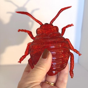 Large 5" 3D Printed Bed Bug Model: Translucent Bronze Resin Replica