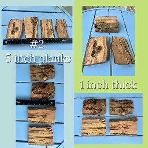K&ouml;nnte beinhalten: Eine Auswahl grob geschnittener Holzbretter, ca. 13 cm lang und 2,5 cm dick, mit nat&uuml;rlichen Rindenkanten und unterschiedlichen Maserungen. Der Text "#2" und "5 inch planks" sind sichtbar.