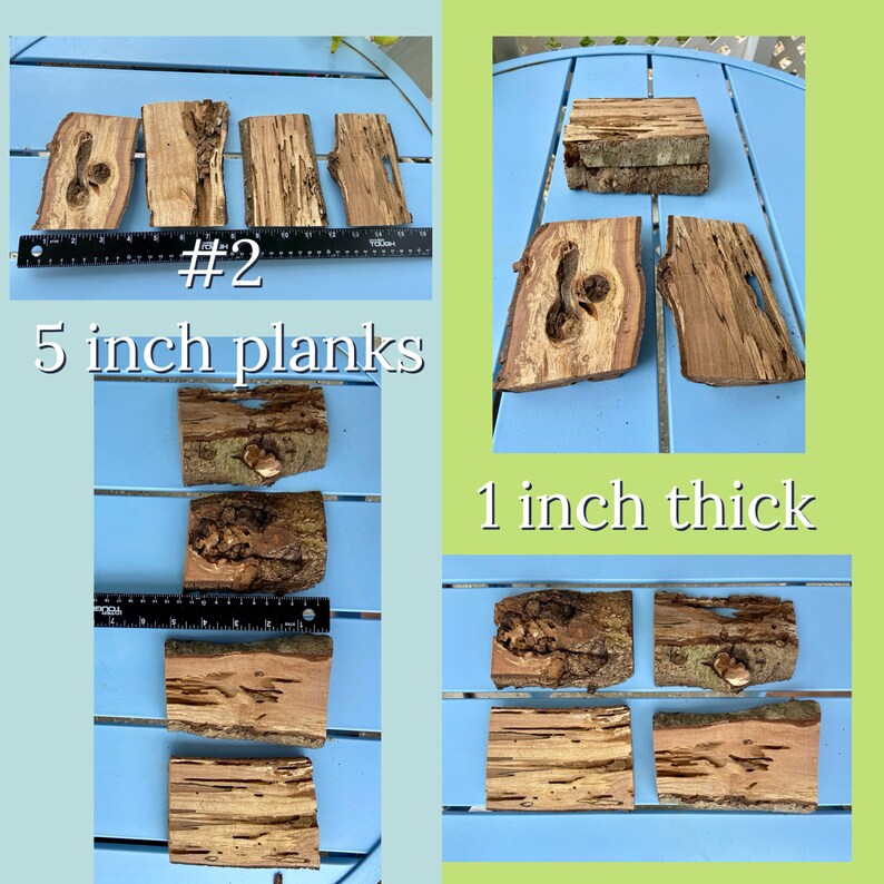 K&ouml;nnte beinhalten: Eine Auswahl grob geschnittener Holzbretter, ca. 13 cm lang und 2,5 cm dick, mit nat&uuml;rlichen Rindenkanten und unterschiedlichen Maserungen. Der Text "#2" und "5 inch planks" sind sichtbar.