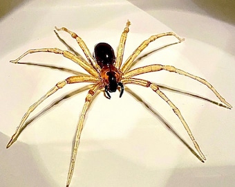 Fiddle back Brown Recluse Spider 3D Photogrammetry realistic replica:Display Models created using Photo Polymer Resin. Made in the USA