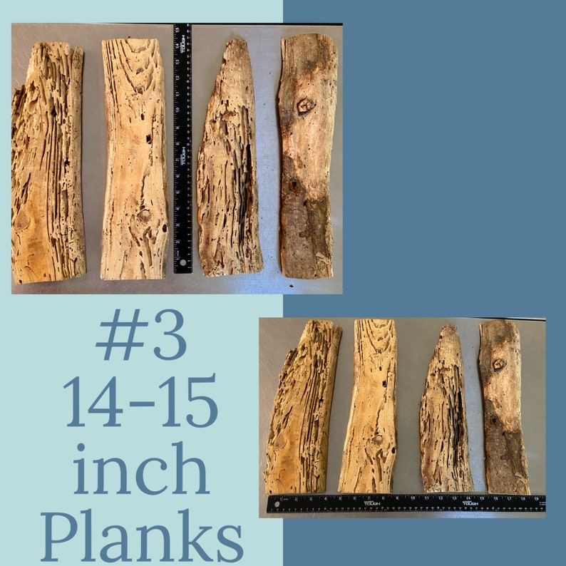 #3 Group for planks measuring 15 inch long and 3-4 inch wide