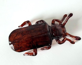 Red Flour Beetle - Enlarged Entomology Model
