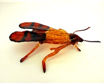 Indian Meal Moth 3D Entomology Model - Made In USA