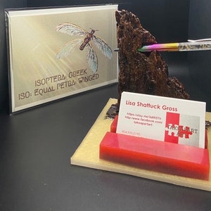Portapenne in legno di palma termite con set da scrivania porta biglietti da visita rimovibile, penna di facile visualizzazione riempita di termiti. Informazioni sulla specie Buono regalo