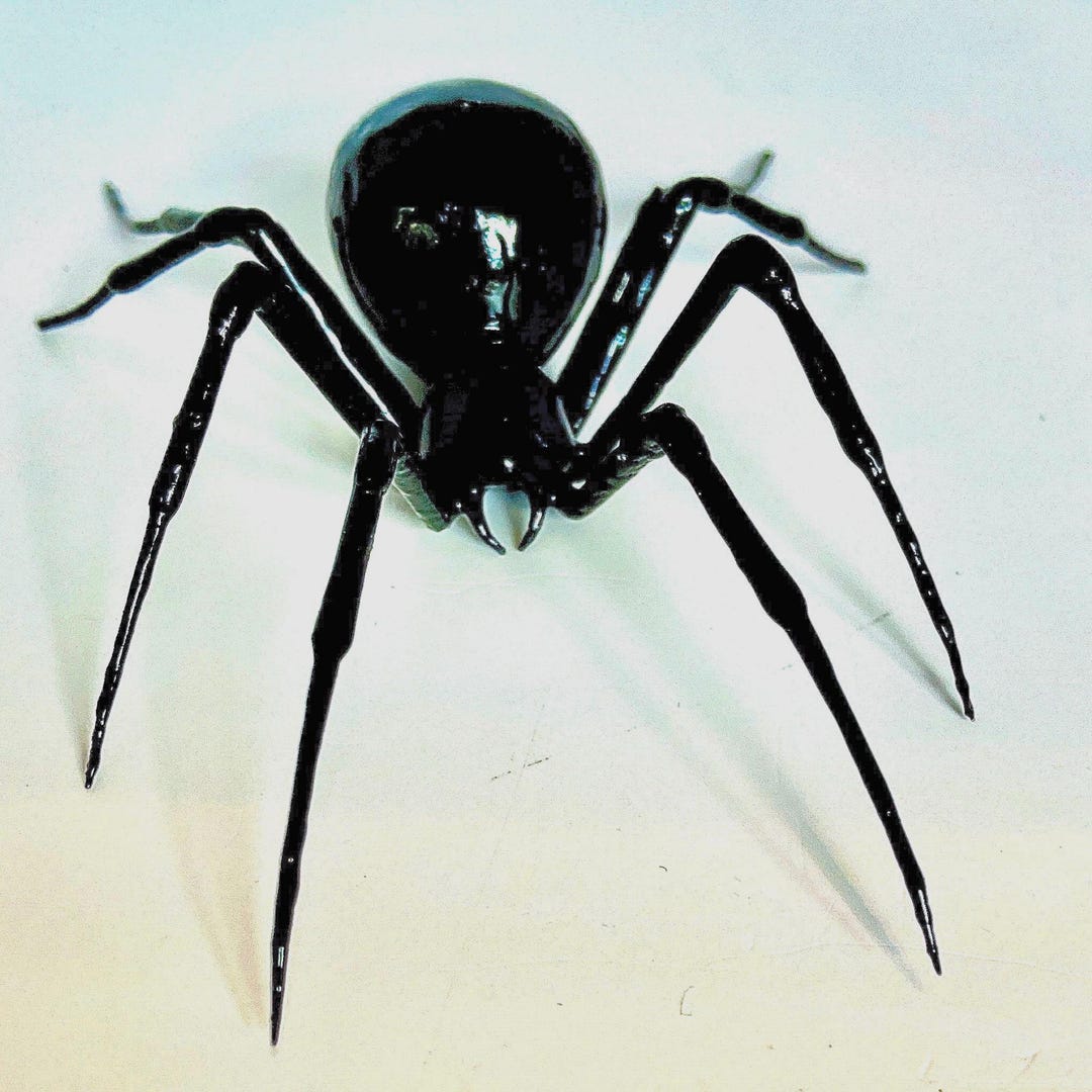 3D Spider Black Widow Realistic Small Size For Tank - 11in X 7in - Foto 8