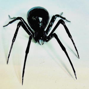May include: A shiny black spider ornament with eight long, thin legs and a rounded body. The spider has a detailed, realistic design, ideal for Halloween or a unique home decor accent.
