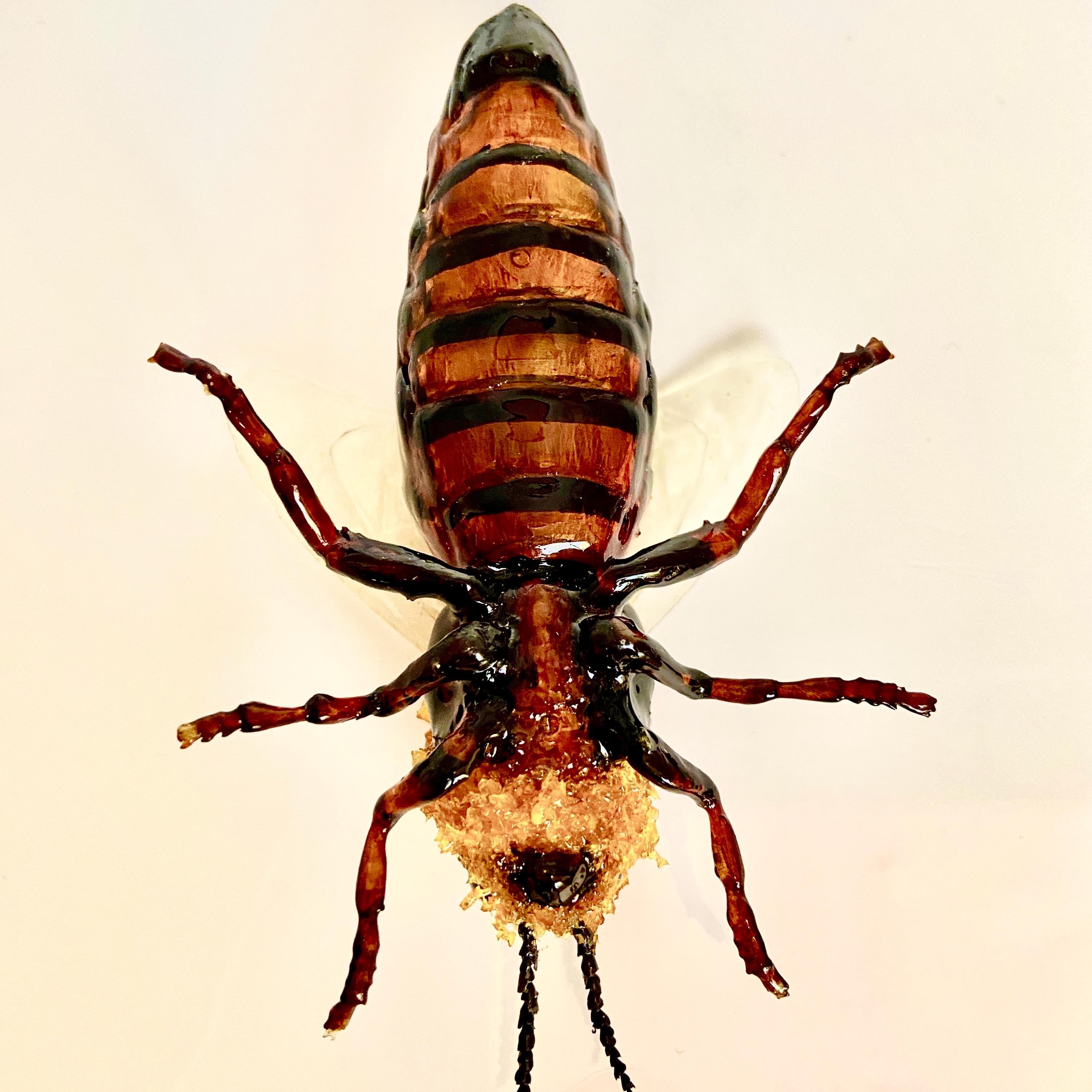 3D Printed Queen Honey Bee Model: Photogrammetry Resin Replica - Etsy