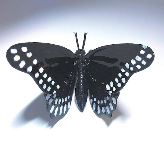 3Dブラックパナマ蝶レプリカ：希少昆虫学モデル、米国製 - Etsy 日本