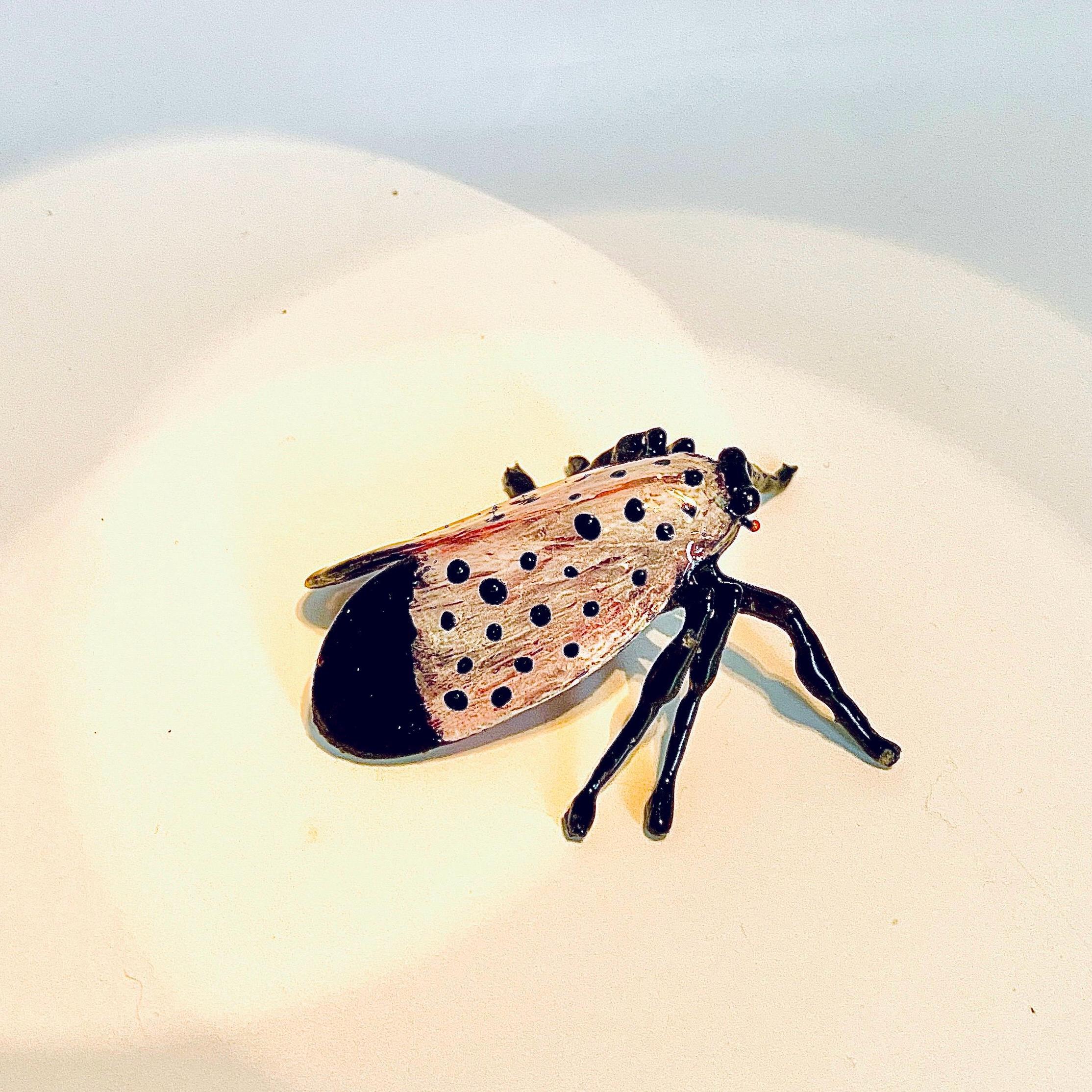 Hand-painted 3D Printed Spotted Lanternfly Model: Adult & Nymph - Etsy