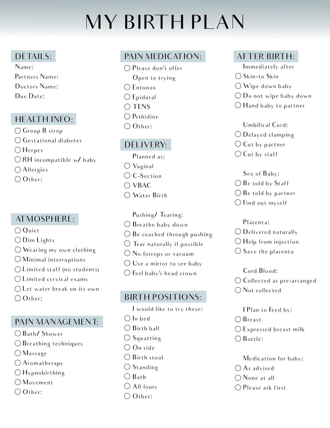 Birth Plan Printable Template Etsy birth-plan-printable-template-etsy