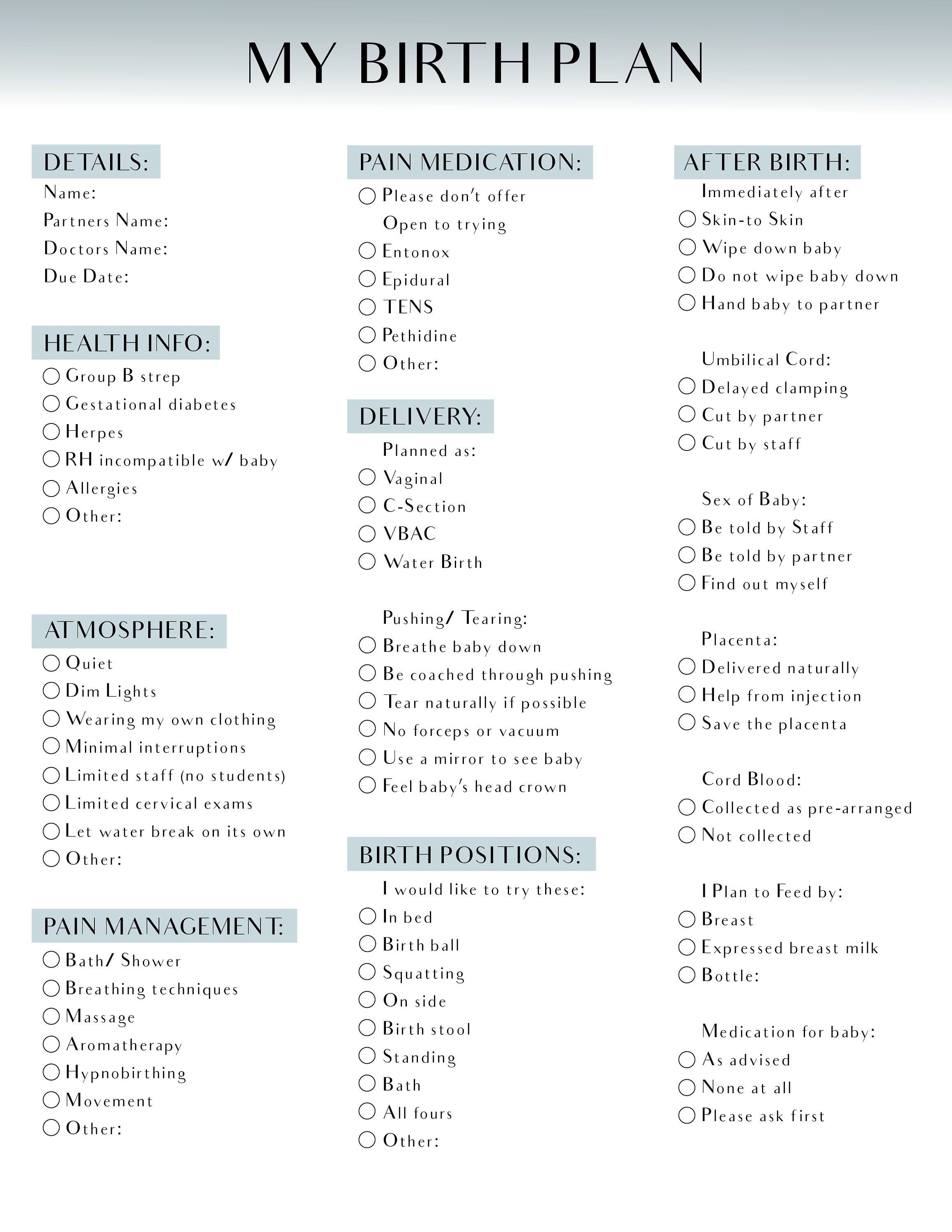 Birth Plan Printable Template Etsy Birth Plan Printable Template Etsy