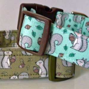 Squirrel Dog Collar, Funny Dog Collar, Acorn Dog Collar, Dog Collar, Pet Collar, Dog, Eco Friendly, Sustainable - "Squirrel Chaser"