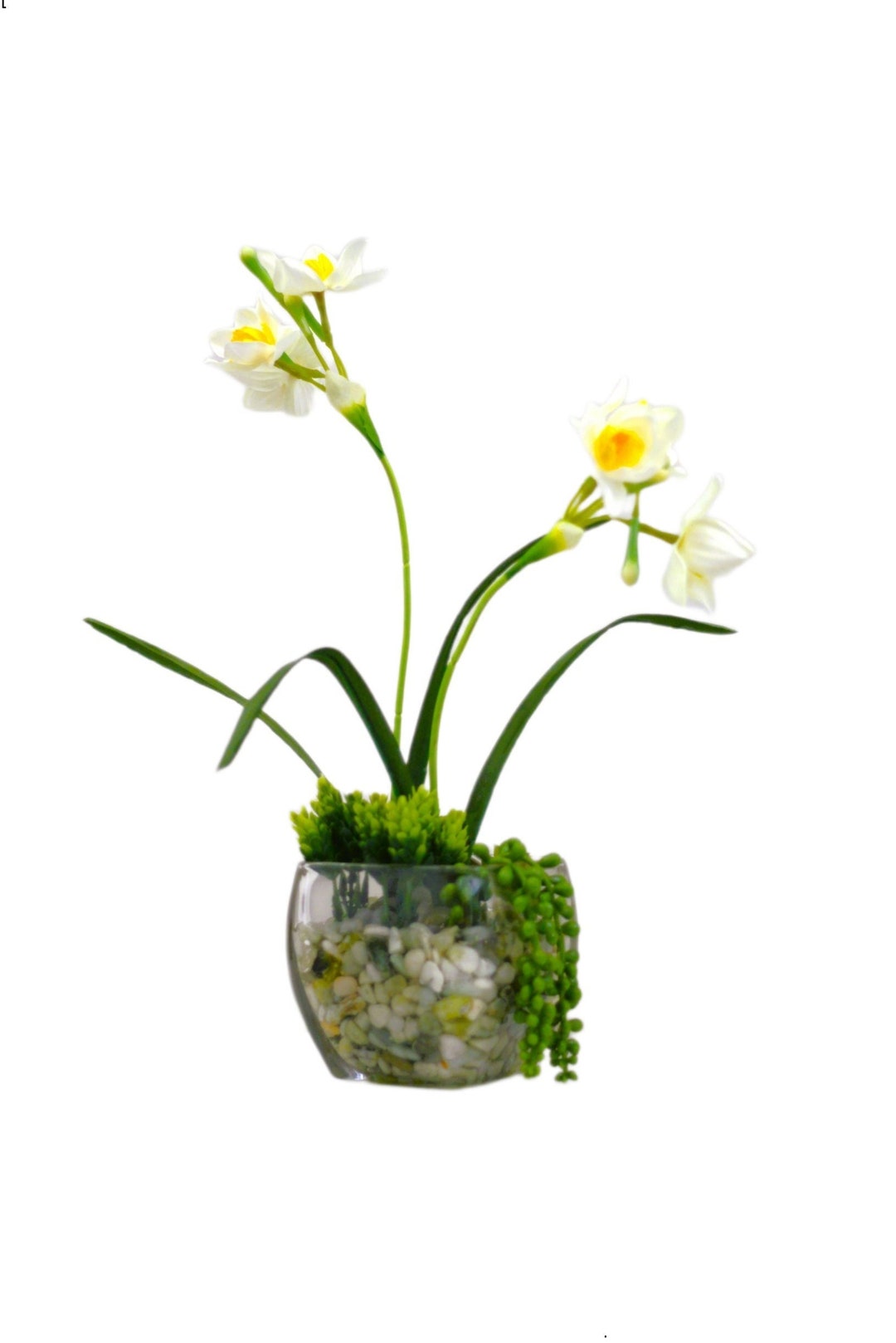 White Artificial Narcissus Flower Arrangement Succulents Stone Pebbles