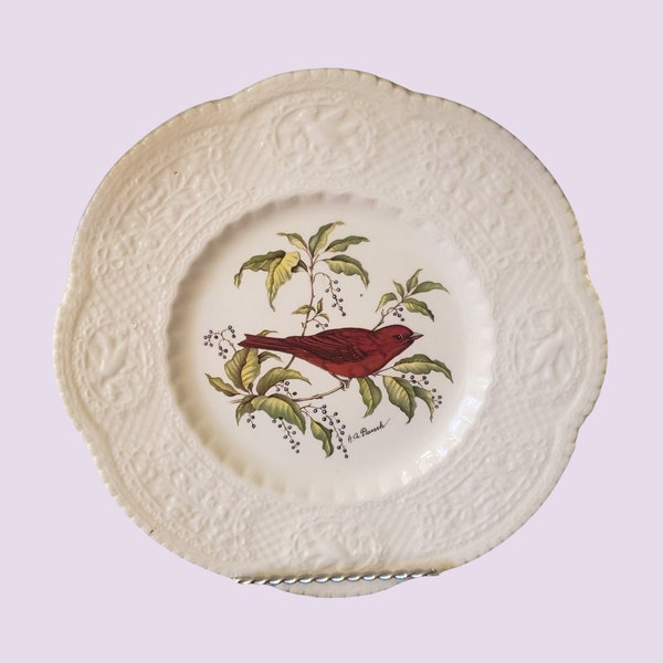 Royal Cauldon Bird Plate Etsy