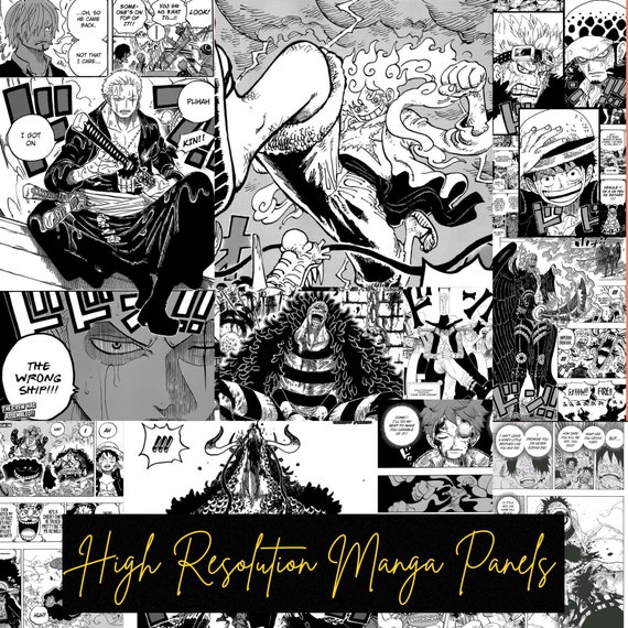 One Piece Manga 