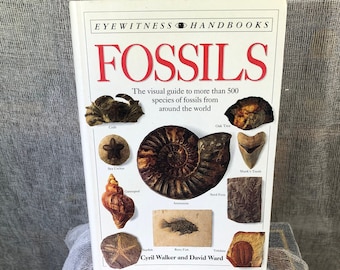 Fossils : the Visual Guide to More Than 500 Species of Fossils - Etsy