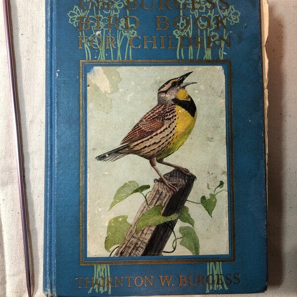 Vintage 1919 "The Burgess Bird Book For Children" by Thornton Burgess