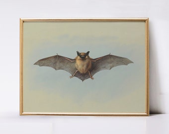 Vintage Bat Print | Antique Halloween Wall Art | Dark Moody Bat Art Print | Spooky Wall Decor | Bat Printable Art Dark Art DIGITAL Download