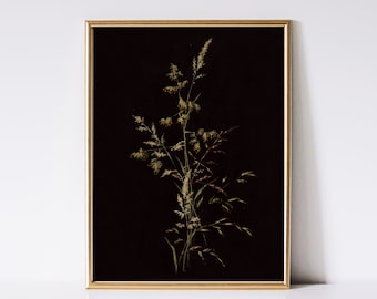 Imprimé botanique foncé | Art imprimable floral Moody | Téléchargement numérique | Décor universitaire sombre | Art mural de mauvaise humeur | impression numérique vintage