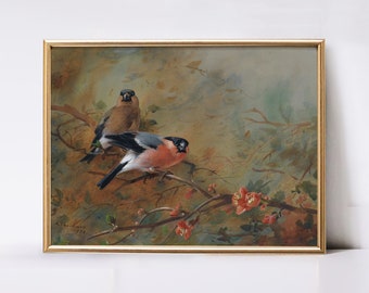 Antique Bird Print | Nursery Wall Decor Download | Vintage Printable Wall Art | Farmhouse Country Decor | Birds Painting Digital Print