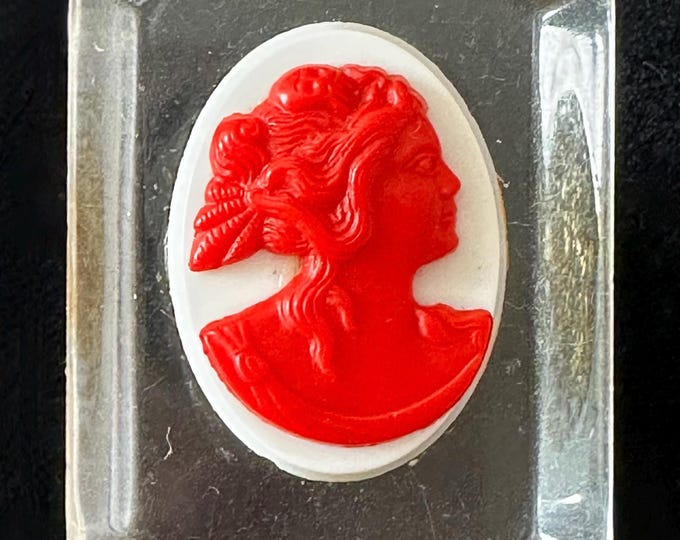 Vintage Book Piece Clear Lucite and Red Plastic Cameo Brooch