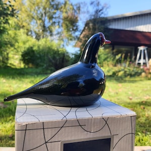 Nokikana(Coot) glass bird by Oiva Toikka , Nuutajärvi   SIGNED.