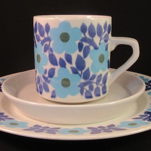 May include: A white ceramic teacup and saucer set with a blue and light blue floral pattern. The cup has a handle and the saucer has a scalloped edge.