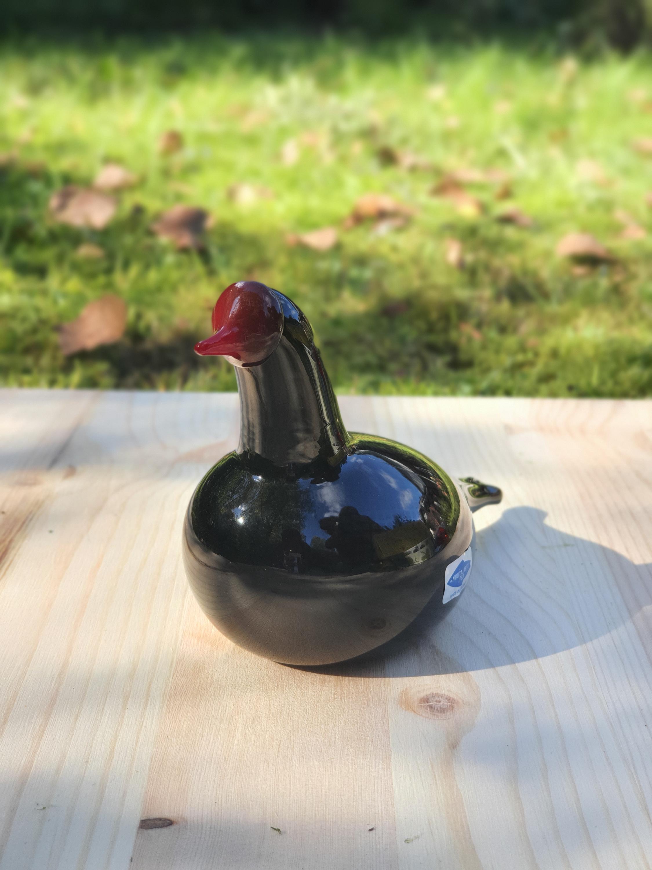 Nokikana(coot) Glass Bird by Oiva Toikka , Nuutajärvi SIGNED. - Etsy